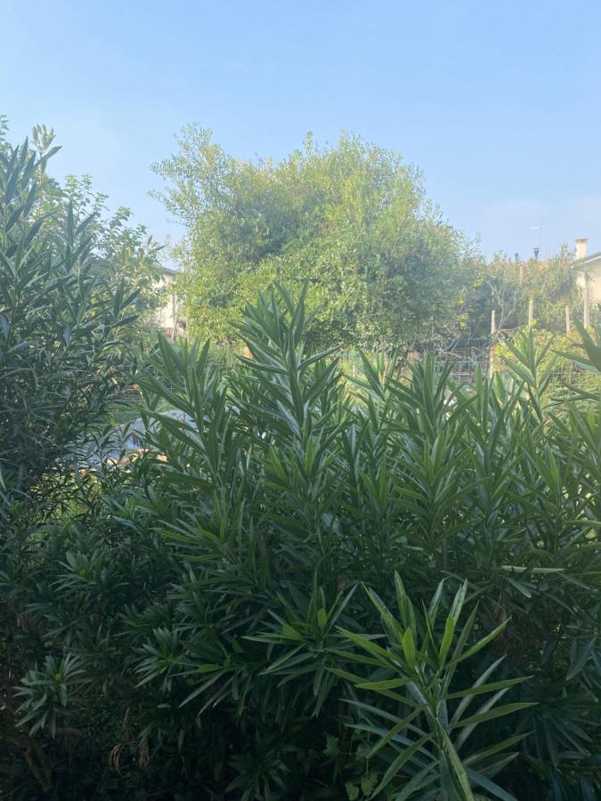 Villafranca Padovana B&B Le Rose מראה חיצוני תמונה